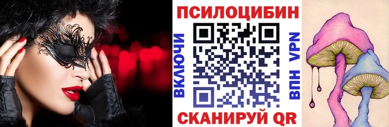 купить наркотик  Ершов  гидра маркетплейс  Псилоцибиновые грибы мицелий 